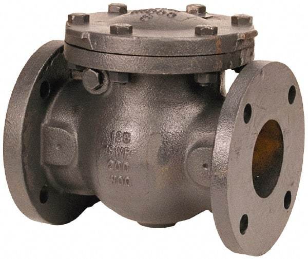 NIBCO - 5" Cast Iron Check Valve - Flanged, 200 WOG - Top Tool & Supply