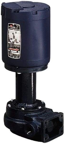 Graymills - 115 Volt, 1/6 hp, 1 Phase, 3,450 RPM, Cast Iron Flanged Outside Suction Machine Tool & Recirculating Pump - 7-1/2" Long x 4-1/2" Mounting Flange Width, NPT Thread, Glass Filled Celcon Impeller - Top Tool & Supply