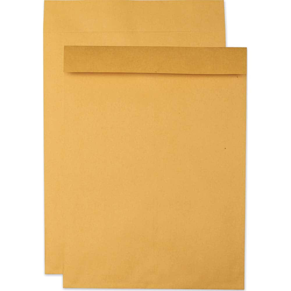 Quality Park - Mailers, Sheets & Envelopes; Type: Jumbo Envelope ; Style: Fold Flap ; Width (Inch): 22 ; Length (Inch): 17 ; Box Quantity: 25 ; Size: 17 x 22 - Exact Industrial Supply