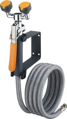 PRO-SAFE - Plumbed Drench Hoses Mount: Wall Style: Dual Spray Head - Top Tool & Supply