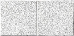 Armstrong World - 48" Long x 24" Wide, Wet-Formed Mineral Fiber Acoustic Ceiling Tile - ASTM E1264 Specification, White - Top Tool & Supply