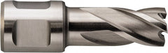 Fein - 1/2" Diam x 1" Deep High Speed Steel Annular Cutter - Top Tool & Supply