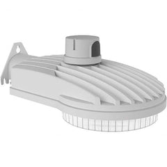 Hubbell Lighting - Parking Lot & Roadway Lights Fixture Type: Roadway Light Lamp Type: LED - Top Tool & Supply