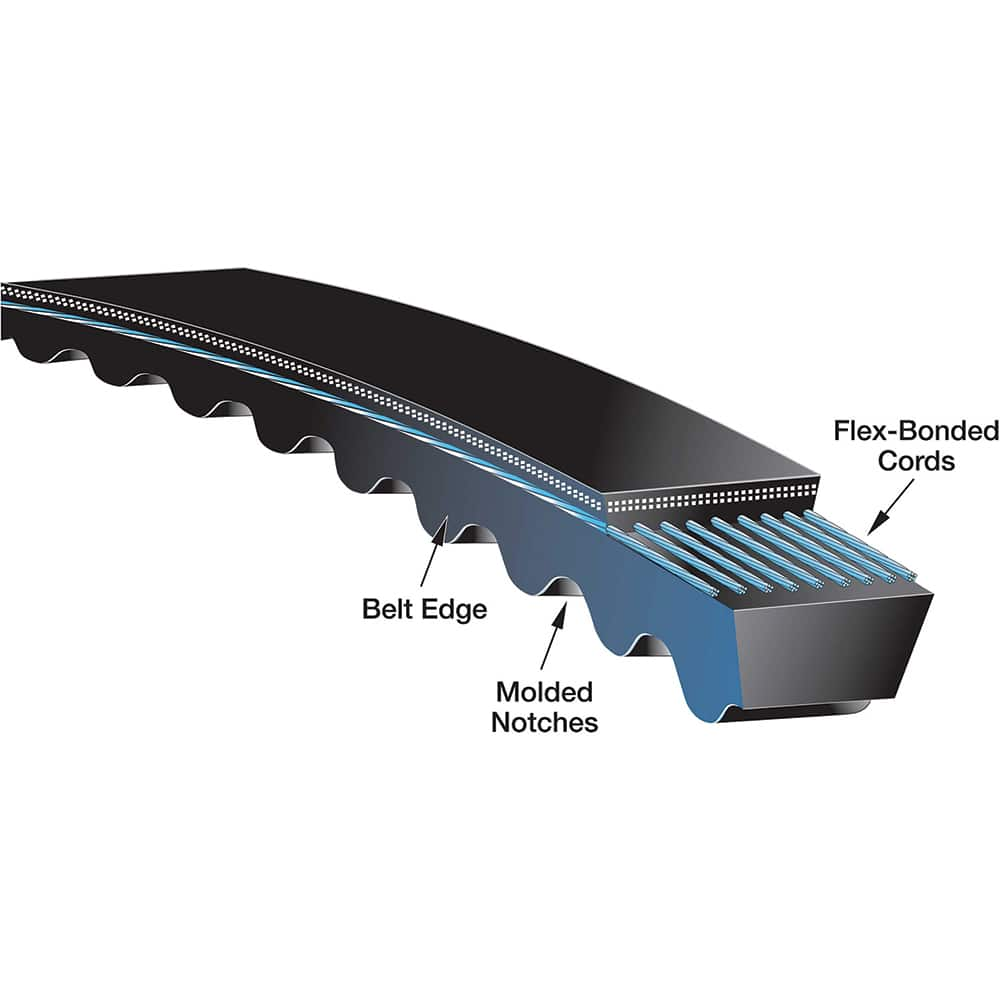 V Belt: Section CX, 22 mm Belt Width 14 mm Pitch, 127 Teeth, Neoprene, Black, 1778-14MGT-55 Belt Number