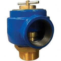 Control Devices - 2-1/2" Inlet, 2-1/2" Outlet, Noncode Safety Relief Valve - Top Tool & Supply