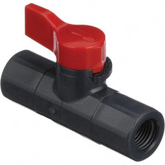 Asahi/America - 1/4" Pipe, Full Port, PVC Ball Valve - 1 Piece, FNPT x FNPT Ends, Tee Handle, 150 WOG - Top Tool & Supply