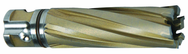 19MM X 50MM CARBIDE CUTTER - Top Tool & Supply