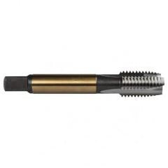 M10X1.5 3FL 6H CO SPPT PL TAP - Top Tool & Supply