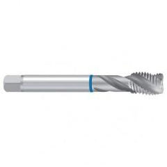 G 1/4 ISO228 2ENORM-VA Sprial Flute Tap - Top Tool & Supply