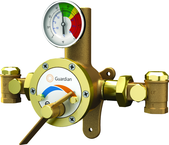 Guardian tempering valve blends hot and cold water to deliver tepid water. Flow capacity is 3.0 to 34 GPM, for use with a single emergency shower, or multiple eyewash, eye/face wash, eyewash/drench hose or drench hose units. - Top Tool & Supply