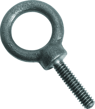 Protoå Forged Eye Bolt - 2.75" - Top Tool & Supply