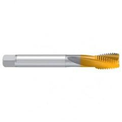 1–1/8–7 UNC–2BX REK.2D-Z-BF TiN Sprial Flute Tap - Top Tool & Supply