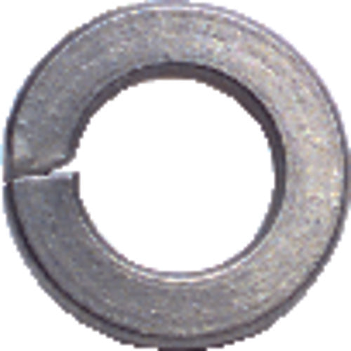 8 Bolt Size - Zinc Plated Carbon Steel - Lock Washer - Top Tool & Supply