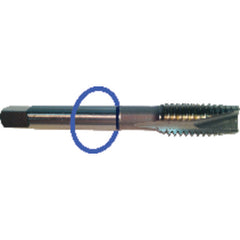 ‎5/16-24 Dia-H3-3 FL-Std Spiral Point Tap - Blue Ring - Top Tool & Supply