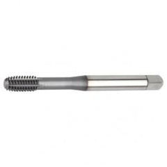 M12x1.75 D11 - Semi-Bottoming Hand Tap - Top Tool & Supply