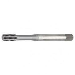 M14x2.0 D12 - Semi-Bottoming Hand Tap - Top Tool & Supply