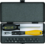 ESD TorqueVario-S Handle 15-80 in oz Micro Bit 24 Piece Set In Storage Box - Top Tool & Supply